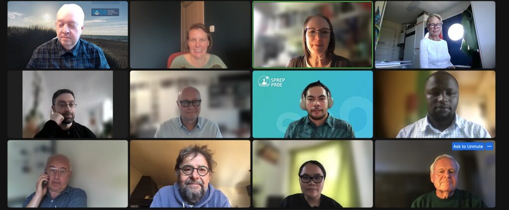 Screenshot of an online ODIS meeting, showing twelve participants in a video call grid