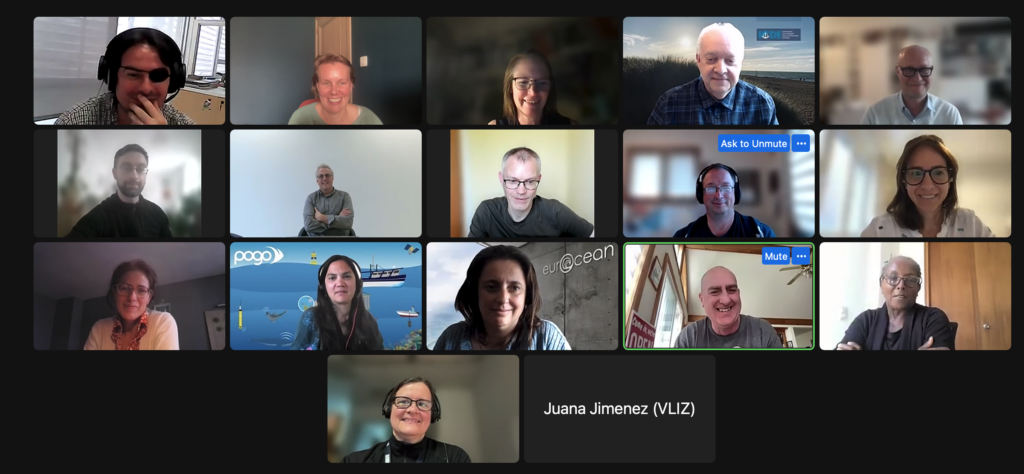 Screenshot of an online ODIS meeting, showing sixteen participants in a video call grid